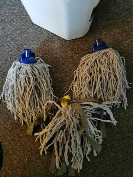 Photo of free Mop bucket + mop heads (South Bermondsey SE15) #2