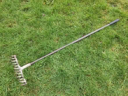 Photo of free a few garden bits (Threemilestone) #4