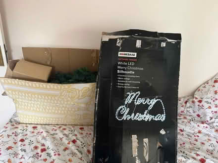 Photo of free Christmas Decorations (Sidcup DA15) #1