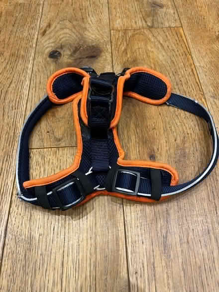 Photo of free Variety of Puppy Accessories (Harrogate HG2) #2