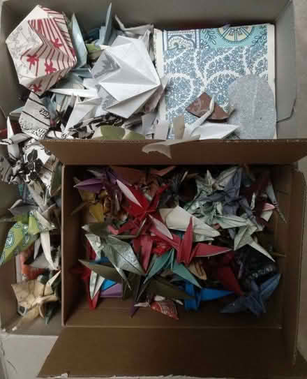 Photo of free origami peace cranes (Upper Bangor LL57) #2