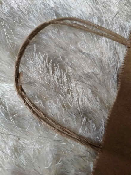 Photo of free Craft paper bags with twisted handles (Oaklands nr Welwyn AL6) #2