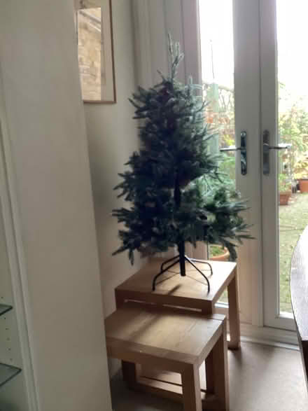 Photo of free Christmas Tree (putney sw15 1lz) #1