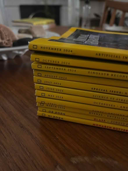 Photo of free 2024 National Geographic (Jan-Nov) (Tulse Hill SE27) #2