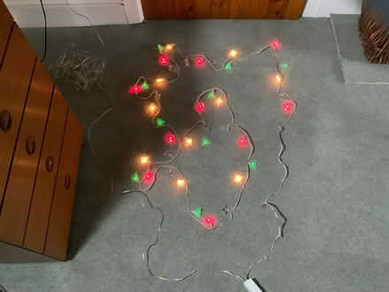 Photo of free Xmas Lights (Blunsdon, SN26) #1