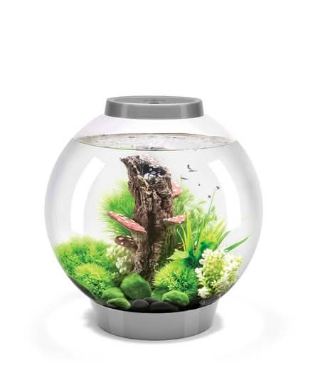 Photo of free 30L Biorb & Other Kit (Romford RM1) #1