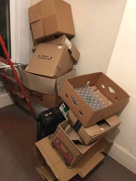 Photo of free Moving boxes (Hartington Road BN2) #1
