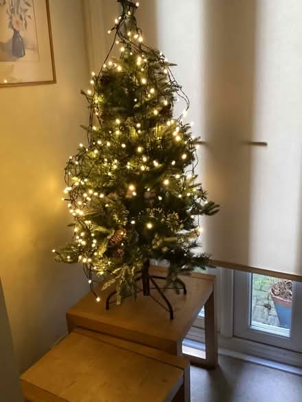 Photo of free Christmas Tree (putney sw15 1lz) #2
