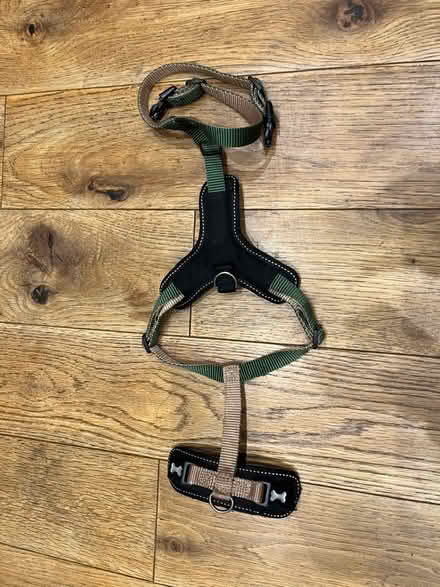 Photo of free Variety of Puppy Accessories (Harrogate HG2) #3