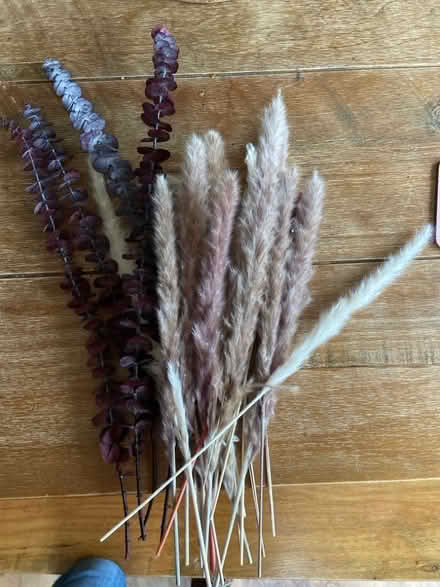 Photo of free Dried grasses and fake eucalyptus (Cockermouth CA13) #1