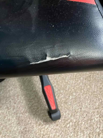 Photo of free Gaming chair (Williamson Park, Lancaster) #2