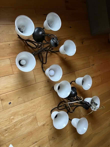 Photo of free Ceiling lights (Enfield co meath) #1