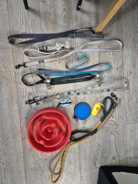 Photo of free Dog accessories (SK7 Hazel Grove) #1