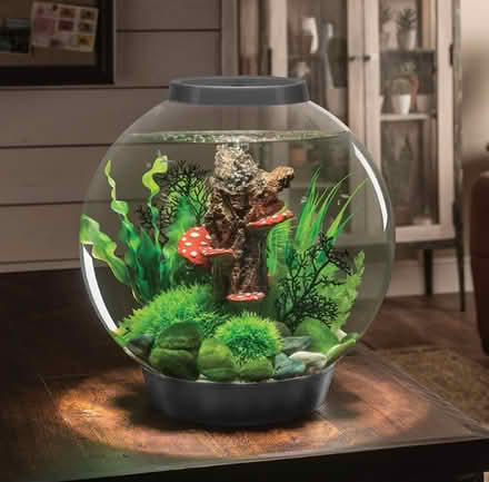 Photo of free 30L Biorb & Other Kit (Romford RM1) #2