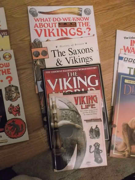 Photo of free viking books (Bournes Green SS2) #1