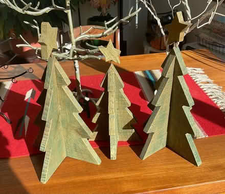 Photo of free Wooden trees (Wonderland Hill, Boulder) #1
