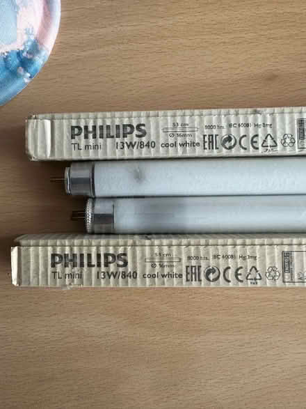 Photo of free Bulbs (High Littleton) #1