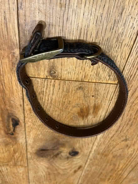 Photo of free Variety of Puppy Accessories (Harrogate HG2) #1