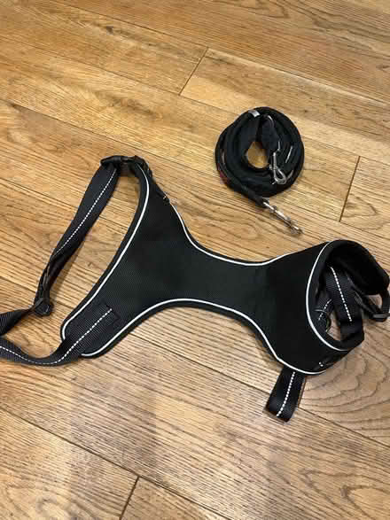 Photo of free Variety of Puppy Accessories (Harrogate HG2) #4