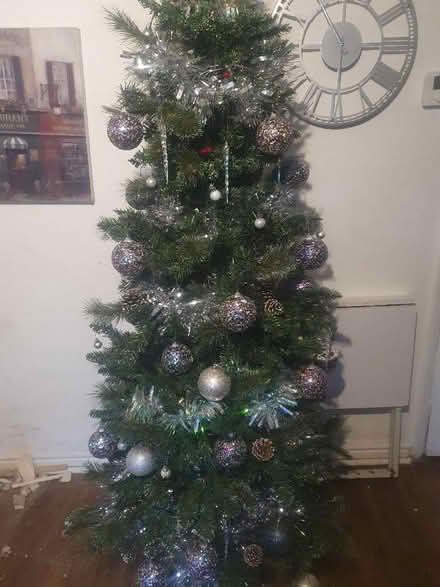 Photo of free Xmas tree (Appleby-in-Westmorland CA16) #1