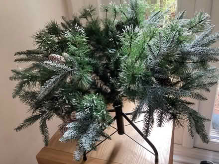 Photo of free Christmas Tree (putney sw15 1lz) #3