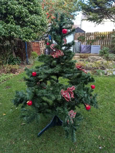 Photo of free Christmas tree 🎄 (AB11) #1