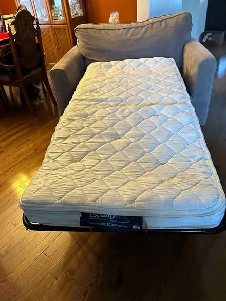 Photo of free Twin hide a bed chair (South Fallingbrook) #2