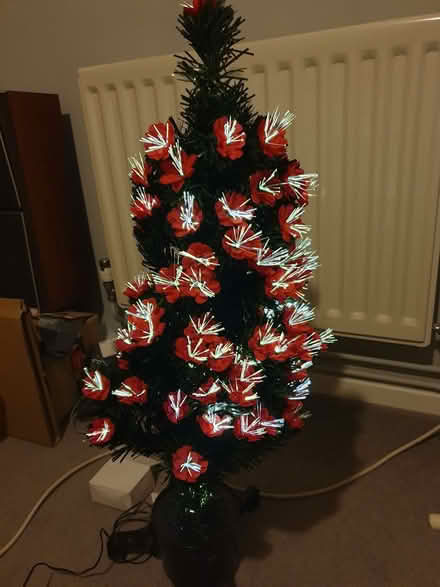 Photo of free Fibre Optic Christmas Tree (Fishers Green SG1) #4