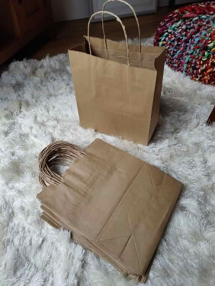 Photo of free Craft paper bags with twisted handles (Oaklands nr Welwyn AL6) #1