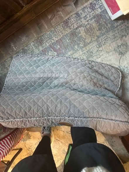 Photo of free dog bed (chiswick) #1