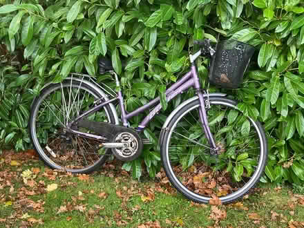 Photo of free Ladies purple bike (GU24 Bisley) #1