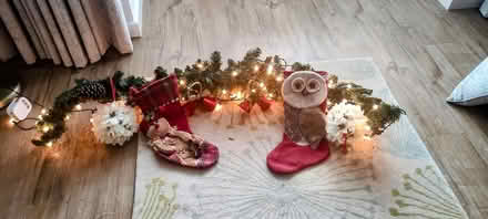 Photo of free Xmas decoration (Ruddington NG11) #1