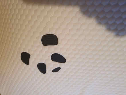 Photo of free Mattress topper (Manor Road N17) #2