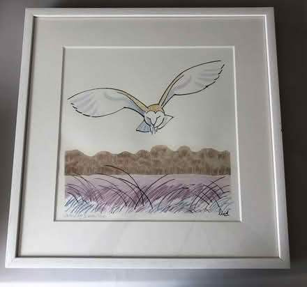 Photo of free Barn owl Picture (Angel N1) #1