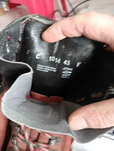 Photo of free Mountaineering boots size 43 (Dovecote BS37) #2