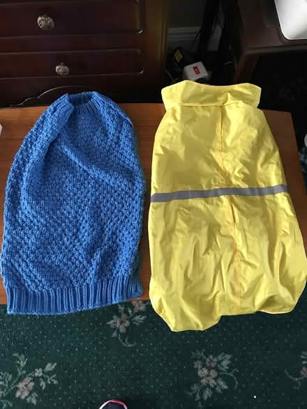 Photo of free Dog coats and toys (Dunboyne, Co. Meath) #1