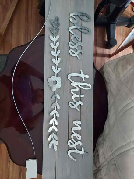 Photo of free Bless This Nest (little ferry) #1