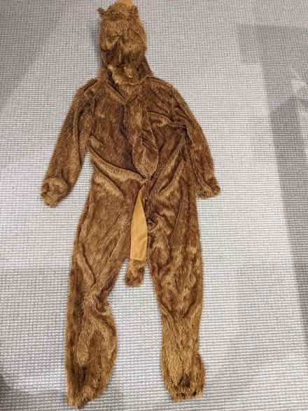Photo of free Camel costume for child aged 7-9 yrs (Diggle OL3) #2