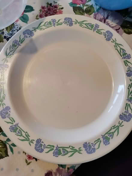Photo of free Bundle of food storage/picnic items (Bray SL6) #4