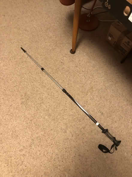 Photo of free Nordic walking stick (kenilworth) #1