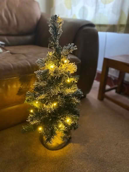 Photo of free 2ft Mini Snowy Tree with white lights (Upper Largo KY8) #1