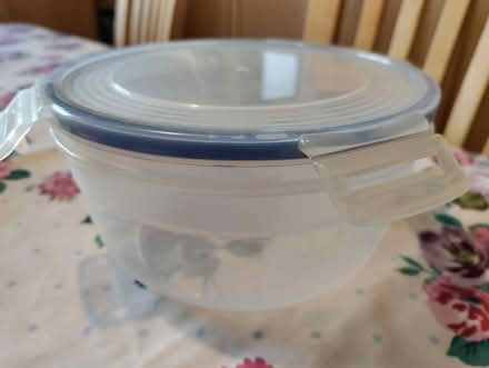 Photo of free Bundle of food storage/picnic items (Bray SL6) #3