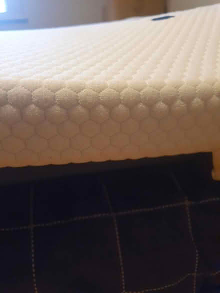 Photo of free Mattress topper (Manor Road N17) #4