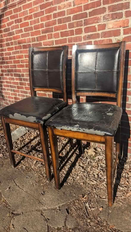 Photo of free Tall chairs (Spring hill) #1