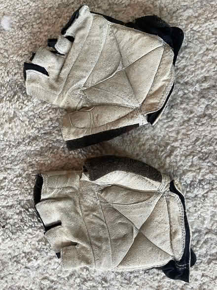 Photo of free Cyclist Gloves/Guantes de ciclismo (Petworth) #1