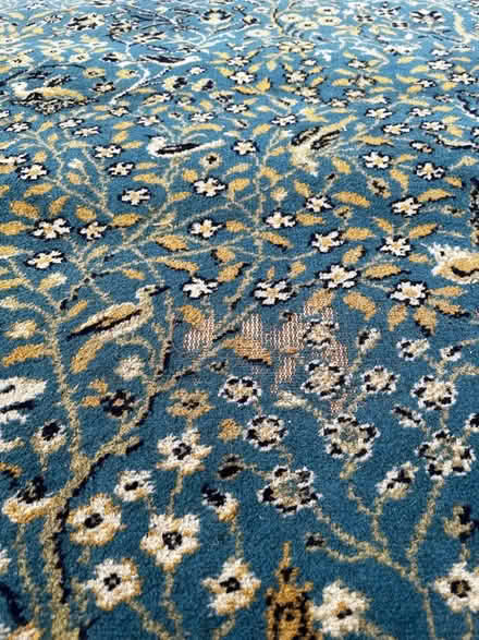 Photo of free Large Victorian rug (Broadsands) #3
