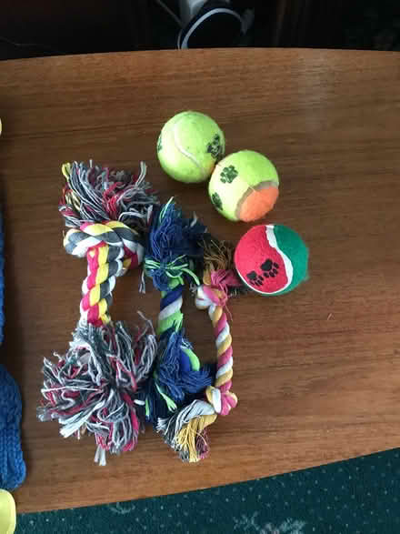 Photo of free Dog coats and toys (Dunboyne, Co. Meath) #2