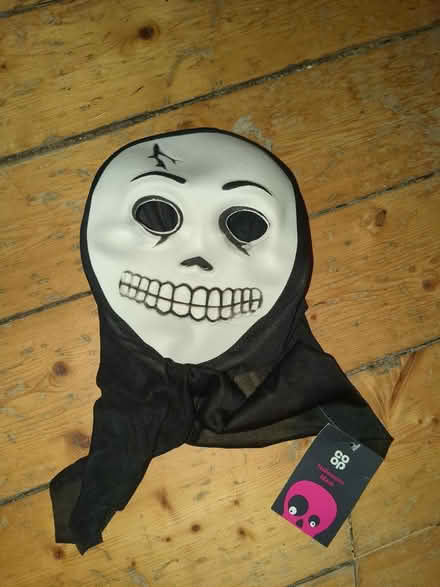 Photo of free Halloween mask (Piershill EH8) #1