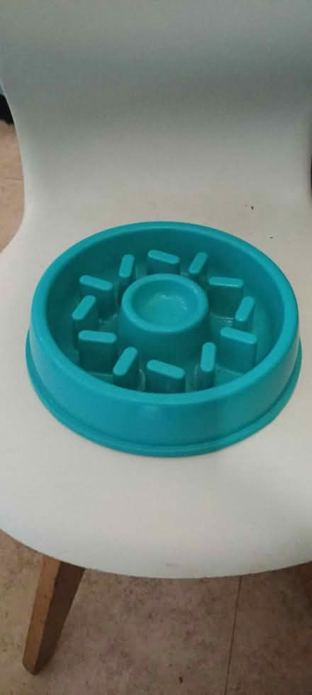 Photo of free Slow feeder dog bowl (E20, Stratford) #1