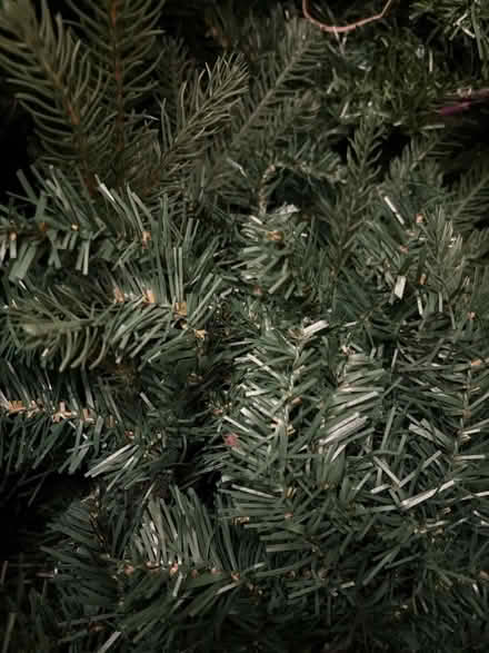 Photo of free Artificial Christmas Tree (Warden Hill GL51) #1